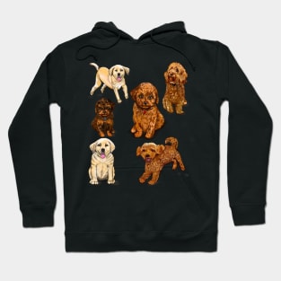 puppy, puppies, lots of puppies! cute cavalier king charles spaniel, Labrador and cavapoochon Hoodie